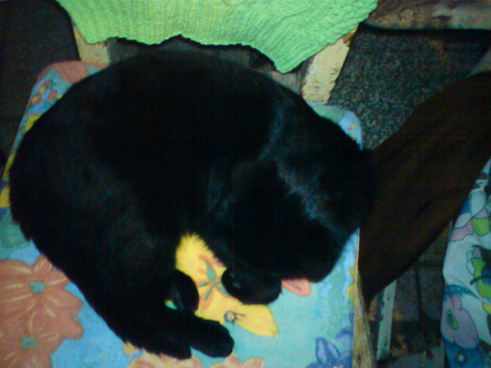 DSC00509.JPG